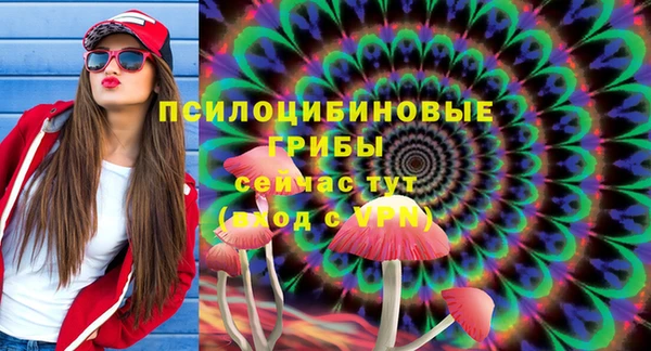 соль ск Кинешма