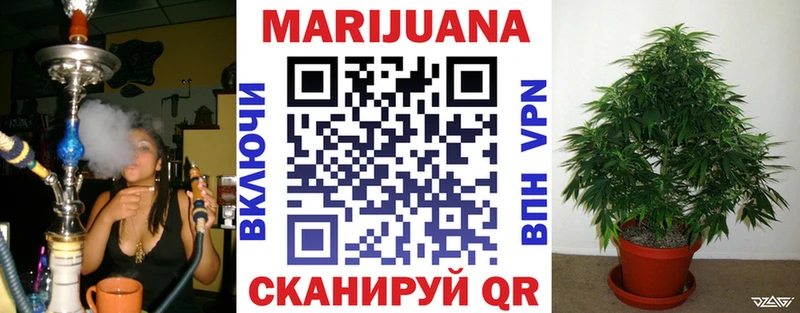 Шишки марихуана VHQ  Купить закладки  Гай 